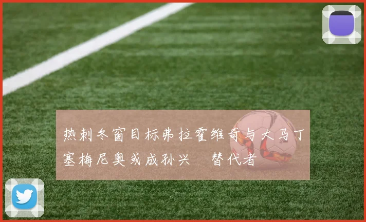 热刺冬窗目标弗拉霍维奇与大马丁塞梅尼奥或成孙兴慜替代者