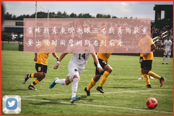 黄蜂新秀表现亮眼三名新秀均获重要出场时间詹姆斯名列前茅