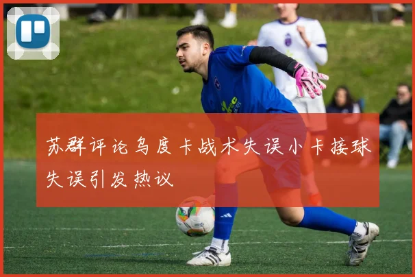 苏群评论乌度卡战术失误小卡接球失误引发热议